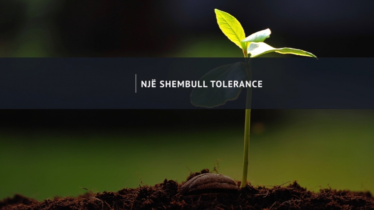 NGJARJE / Një shembull tolerance